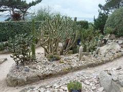 130 Ile de Batz Jardin Georges Delaselle_000013